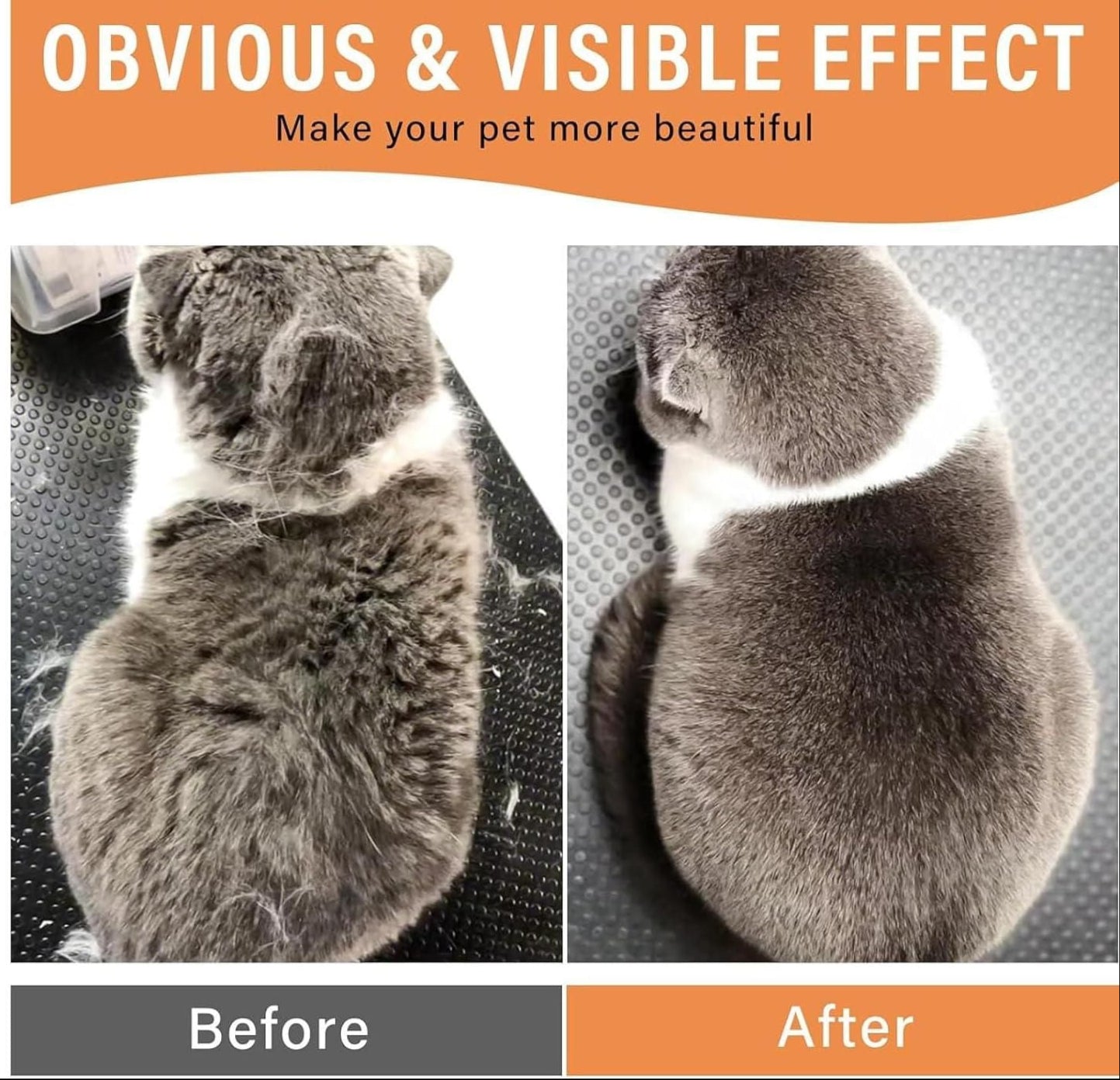 Before and after comparison of a cat with text overlay on an orange background